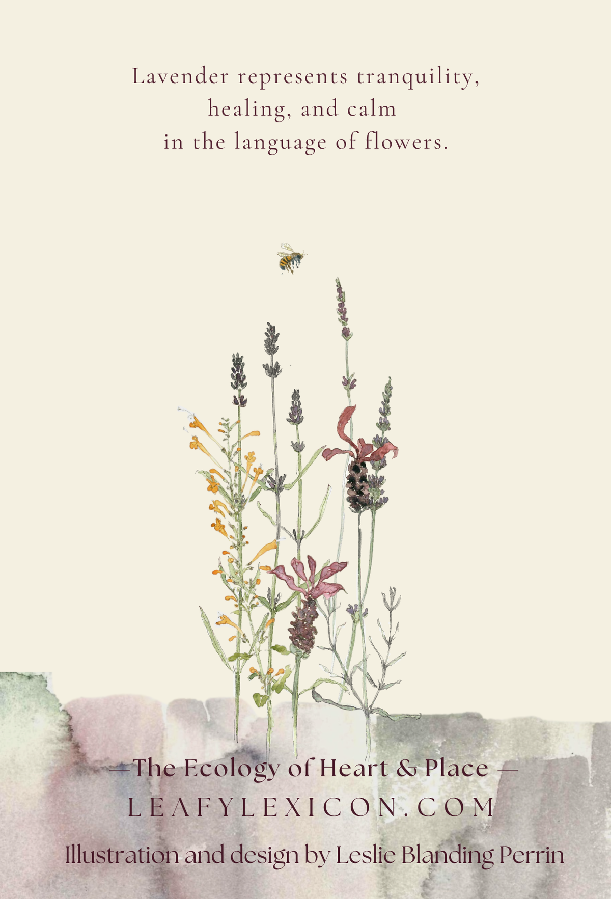 Lavender Meadow
