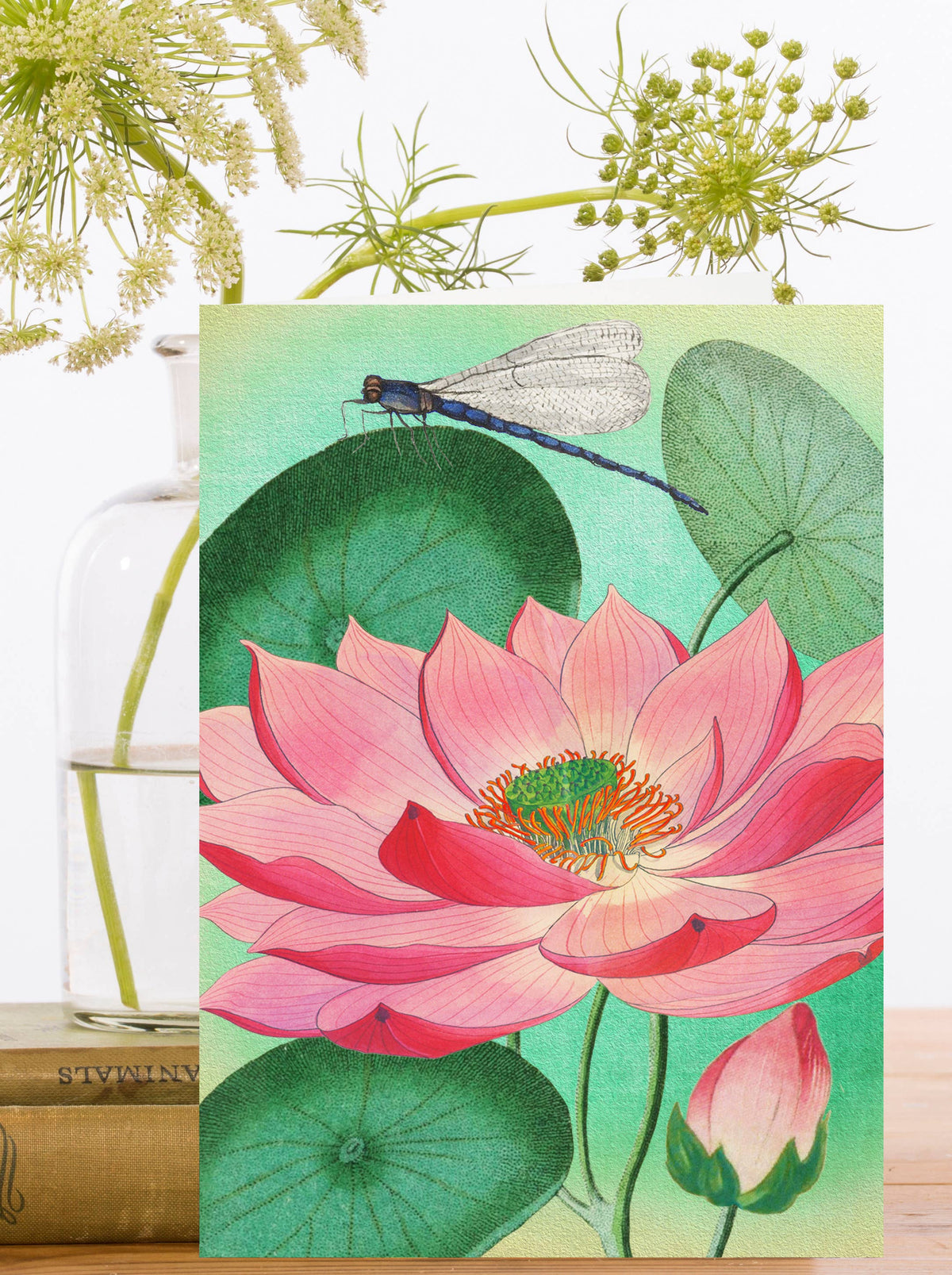 The Dragonfly & the Lotus Flower Greeting Card