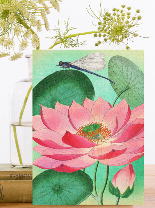 The Dragonfly & the Lotus Flower Greeting Card