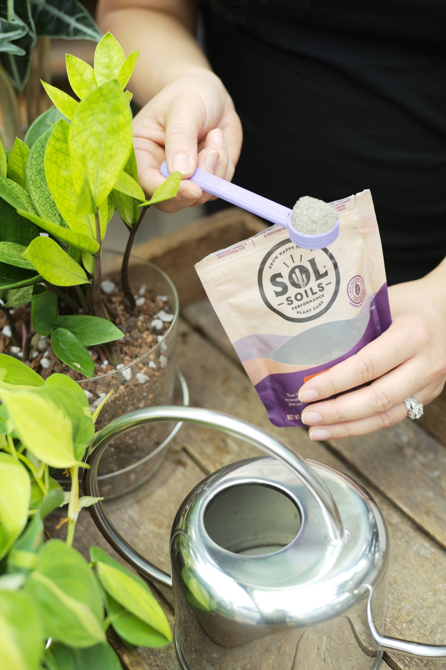 Sol Biotics - Repot Recovery - Repotting Shock Treatment
