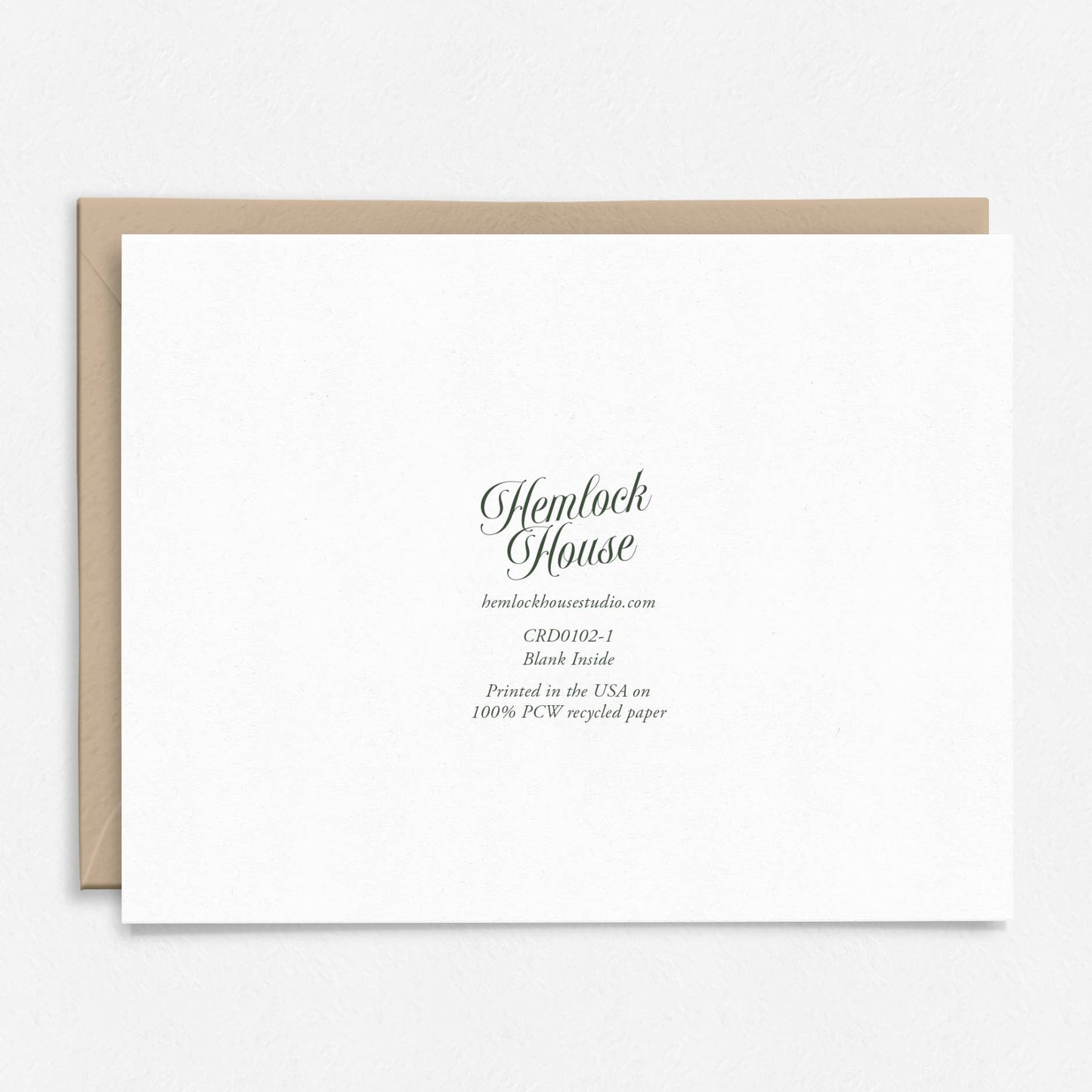 Thank You For Everything Card | Botanical | Floral | Vintage: Packaged in Plastic Sleeves