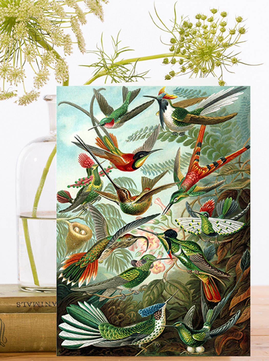 Hummingbirds Greeting Card