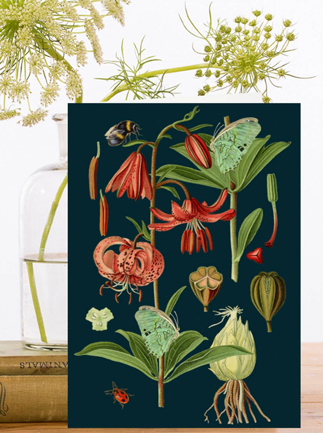Little Lily Greeting Card
