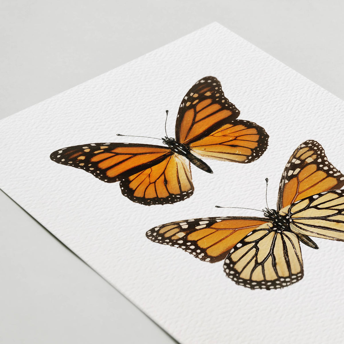 Vintage Monarch Butterfly Card