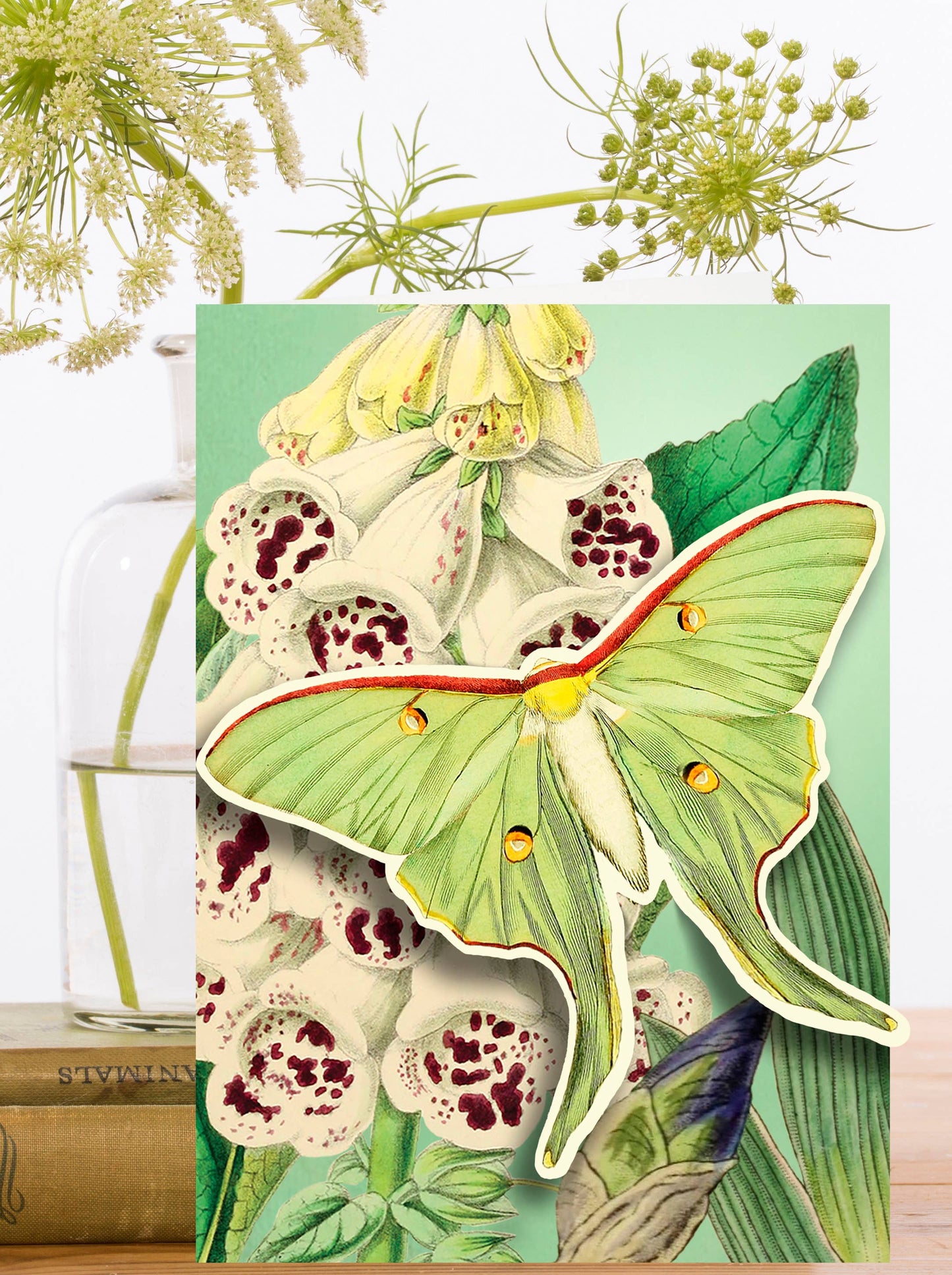Foxglove Pop Up Card