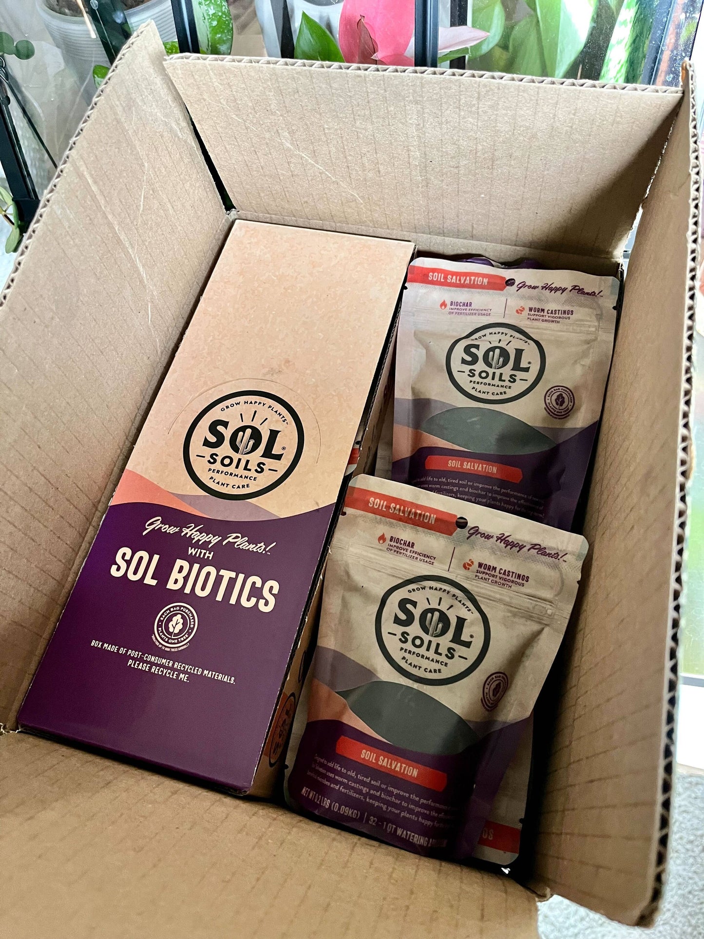 Sol Biotics - Repot Recovery - Repotting Shock Treatment