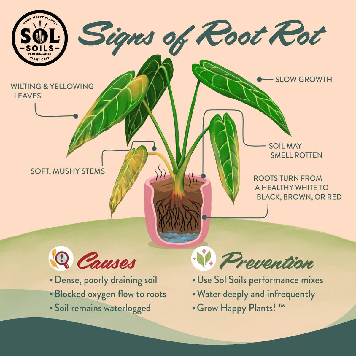 Bonsai Gritty Mix: 1 Quart