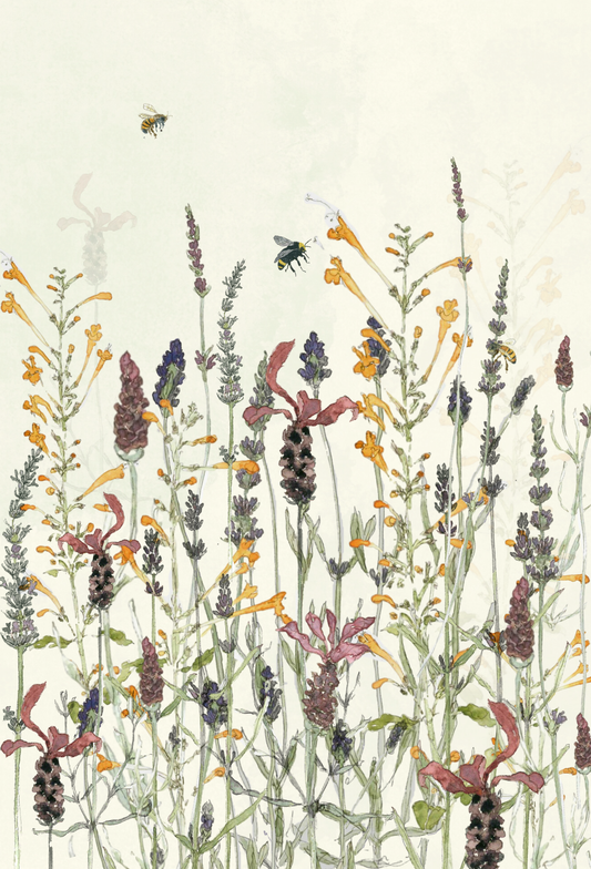 Lavender Meadow