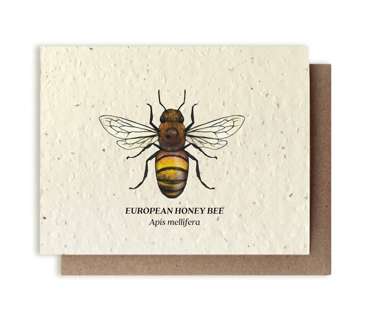 Honey Bee Plantable Wildflower Seed Card: Glassine Sleeves