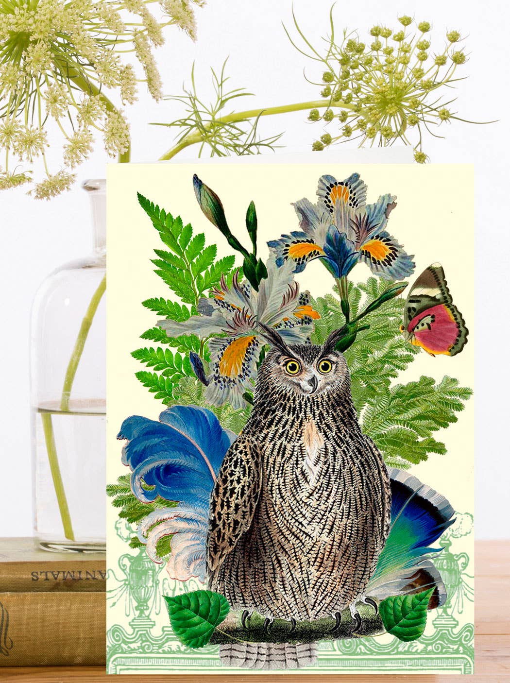 Mr Owl Greeting Card
