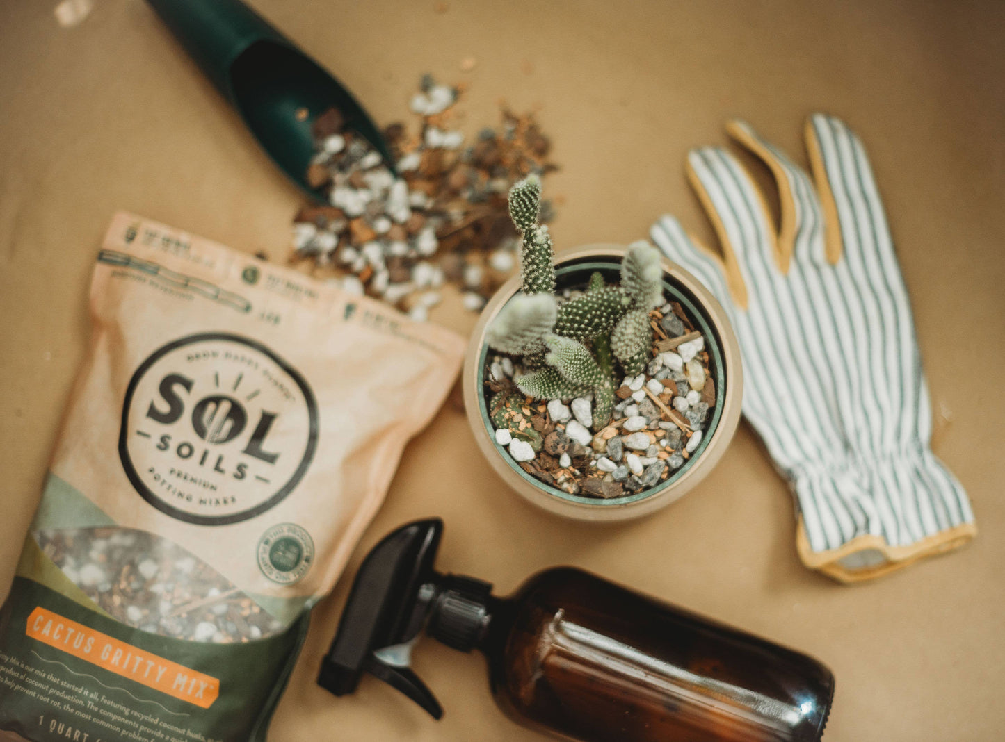 Cactus Gritty Mix : 2 Quarts
