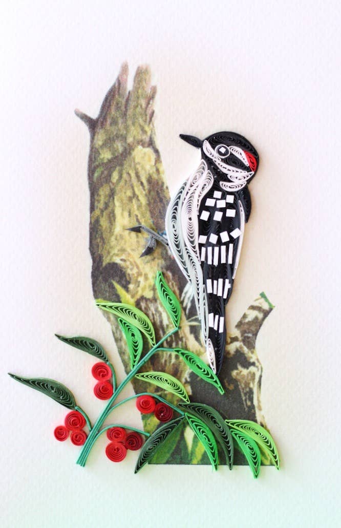 Downy Woodpecker