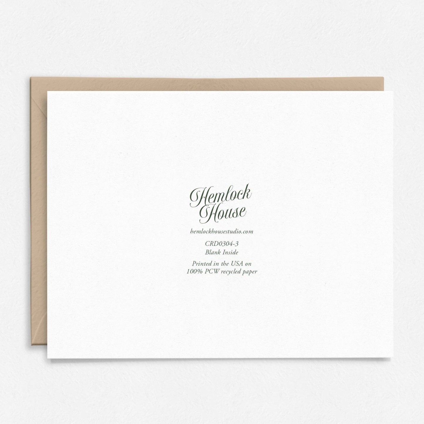 You Are Magnificent | Moth Thank You Card | Butterfly