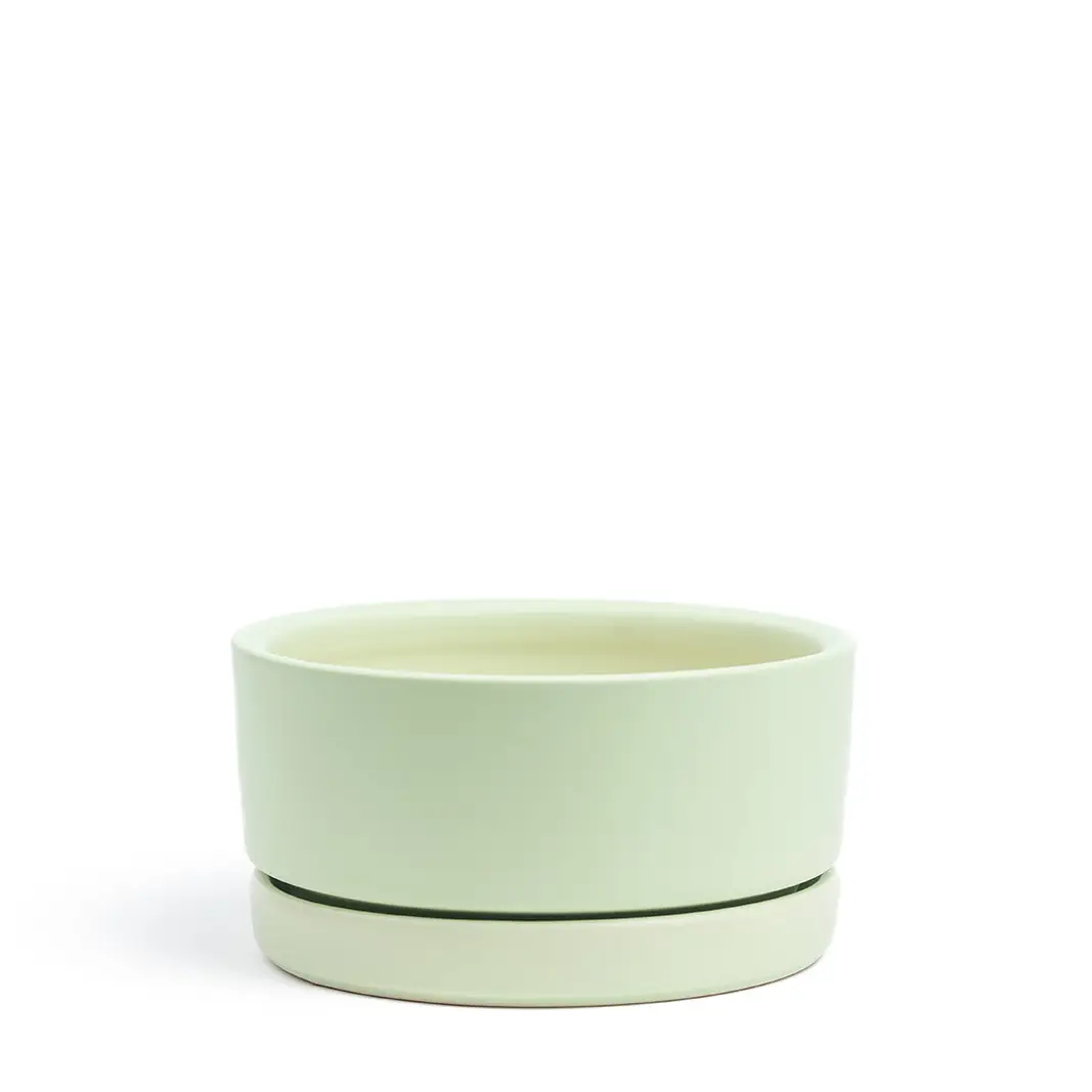 4.5" Low-Bowls with Water Saucers