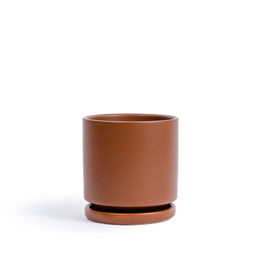 10.5" Cylinder Pots with Water Saucers