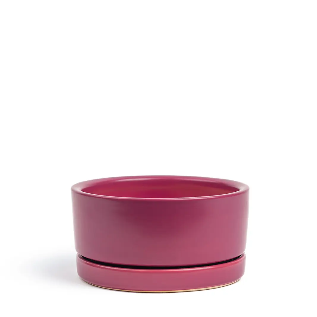 4.5" Low-Bowls with Water Saucers