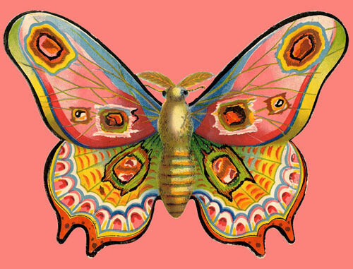 Flutter By Little Vintage Greeting Card