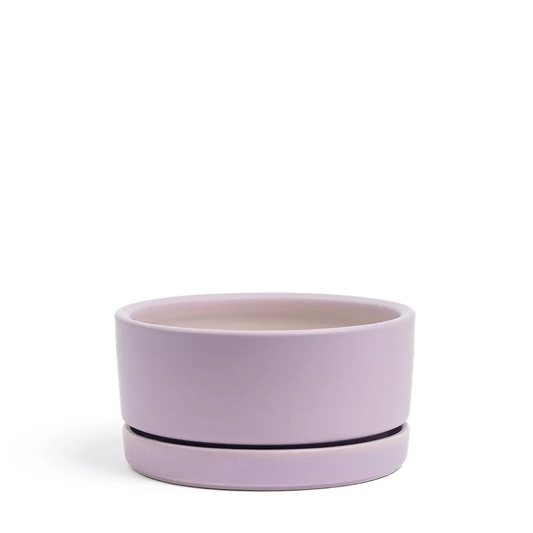 4.5" Low-Bowls with Water Saucers