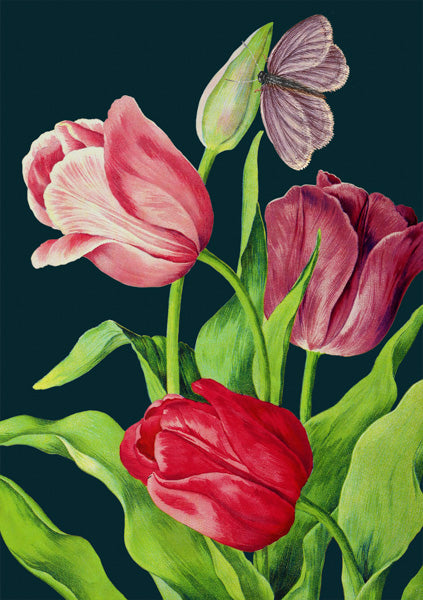 Midnight Tulips Greeting Card