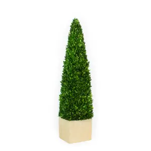Preserved Boxwood Topiary