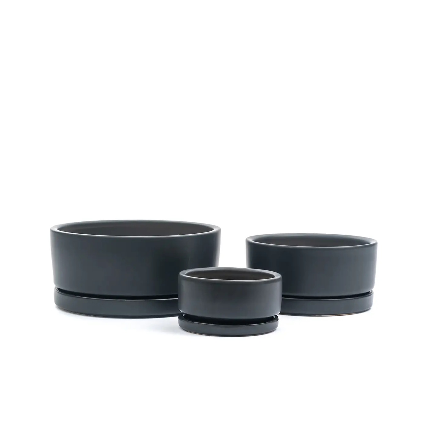 8.25" Fresco Low Bowls with Water Saucers