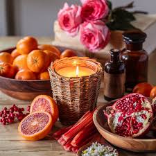 European Red Currant - Herbs/Red Currants
