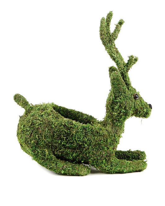 Reindeer Planter: Fresh Green