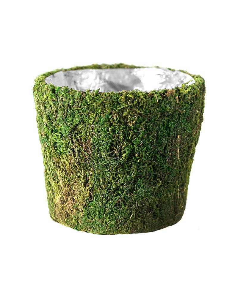 Carmel Deco Basket: Fresh Green