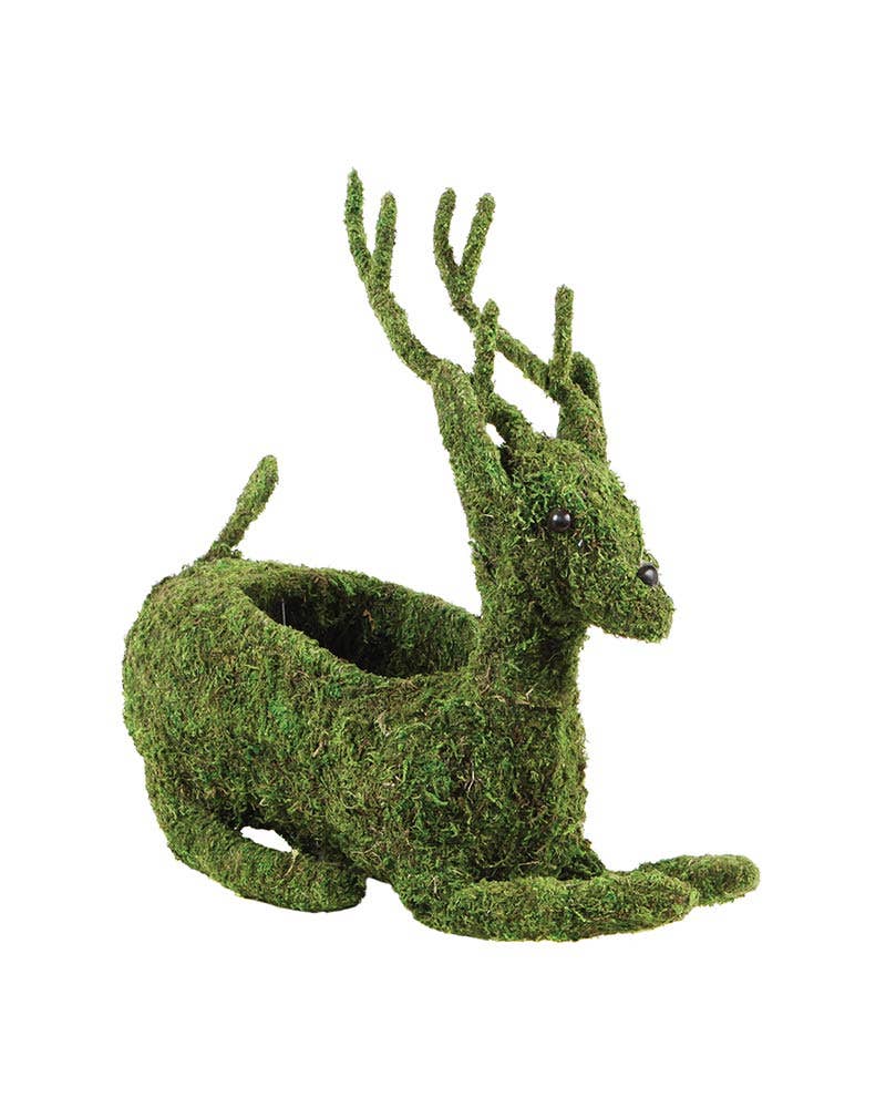 Reindeer Planter: Fresh Green